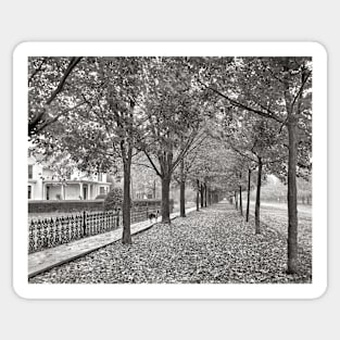 Autumn Street Scene, 1899. Vintage Photo Sticker